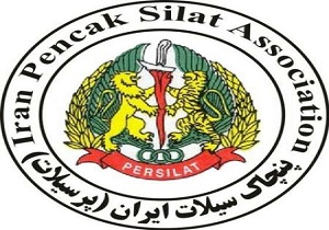 بانوی رزمی کار استان در رقابت های جهانی