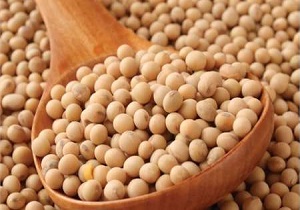 افزایش 65 درصدی برداشت محصول سویا در پارس آباد