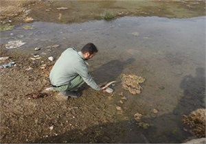 رها سازی یک قطعه بوتیمار کوچک درطبیعت سلماس