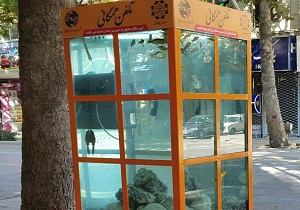 نمایی زیبا از آکواریوم همگانی + فیلم