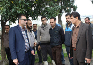 پرداخت تسهیلات به کلزاکاران