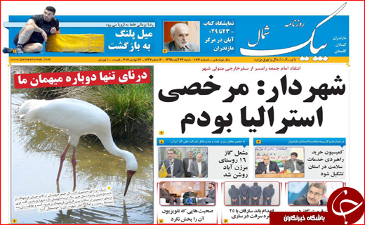 از هشدارهای تند تهران به ترامپ تا مکرهای پیامکی