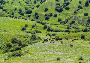 برگزاری دوره آموزشی ویژه بهره‌برداران منابع طبیعی