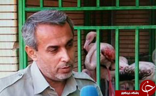 مهمترین حوادث هفته گذشته