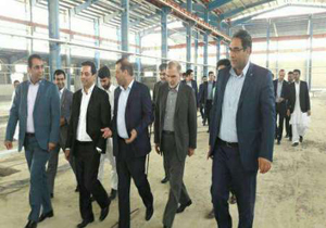 چابهار ظرفیت مناسبی برای فعالیت شیلاتی واستقرار واحدهای صنعتی دارد