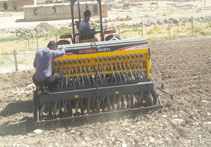 کشت پاییزه چغندرقند در شهرستان کوهرنگ
