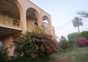وکیل آباد ارزوئیه دیار مرکبات