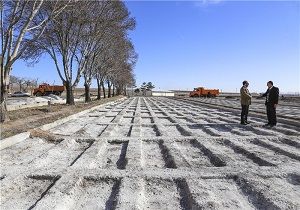 تاسیس آرامستانهای محلی در تهران