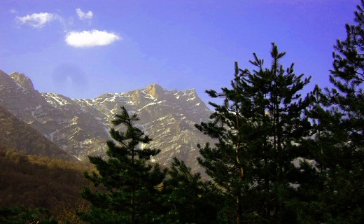 منطقه حفاظت شده بولا کجاست + تصاویر