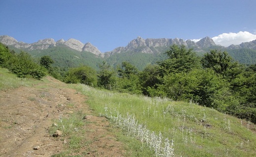 منطقه حفاظت شده بولا کجاست + تصاویر