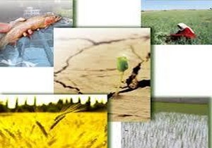 پرداخت تسهیلات میلیاردی به واحدهای صنعتی راکد کشور