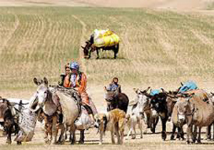 کوچ زودهنگام عشایر خراسان شمالی