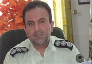 کشف الوار جنگلی قاچاق در آمل