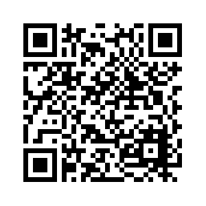 PlayerPro Music Player