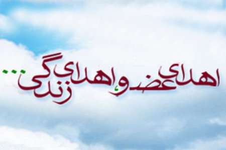 اهدا عضو؛ احیا 2 زندگی