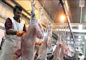توصیه های سازمان دامپزشکی به زائران اربعین