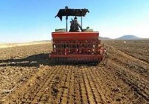 آغاز کاشت گندم در اردستان