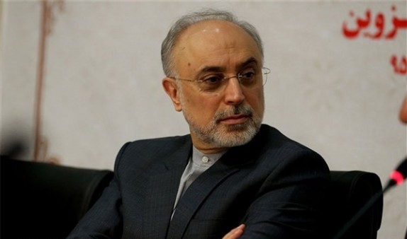 راکتور اراک 4 سال دیگر عملیاتی می&zwnj;شود/ آنچه از اسناد محرمانه در نشریات غربی منتشر شد به نفع ما بود/ دو نمونه از بد عهدی آمریکایی&zwnj;ها در برجام