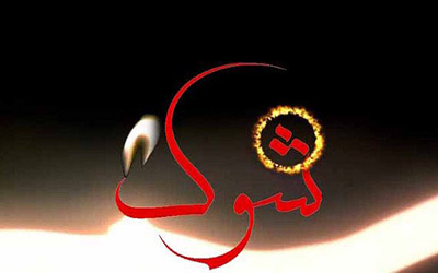 شوک با سوژه های جدید و جذاب ادامه دارد