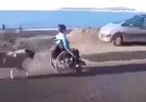 محبت و وفاداری عجیب یک سگ نسبت به صاحب خود + فیلم