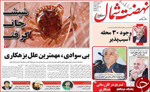 از پز عکس و فیلم مدیران تا بوشهر همچنان در حسرت سرمایه گذار