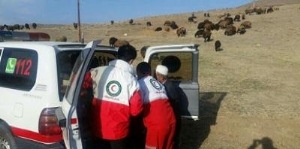 7مصدوم بر اثر واژگونی مینی بوس در سلماس
