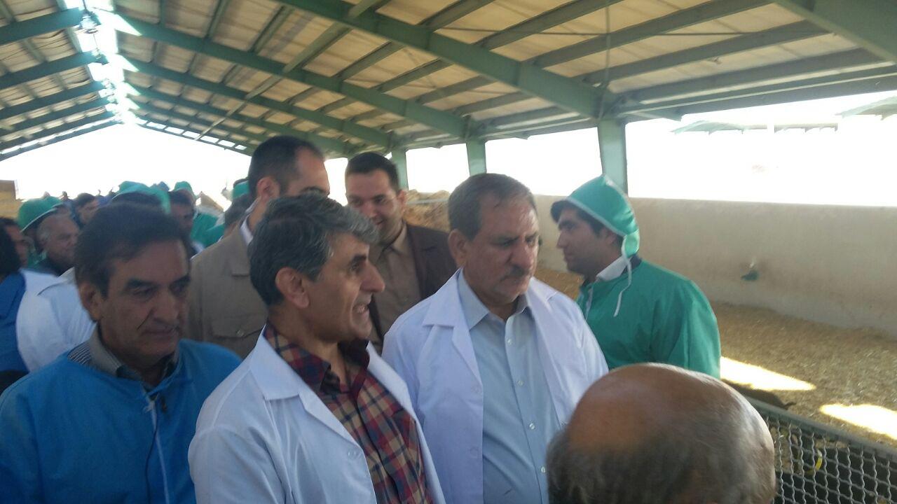 بازدید معاون اول رییس جمهور از مجتمع پرورش بز شیری