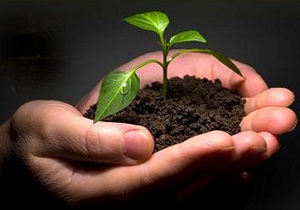اجرای 312 برنامه‌ آموزش و پرورش برای گسترش فرهنگ پیشگیری از آسیب‌های اجتماعی