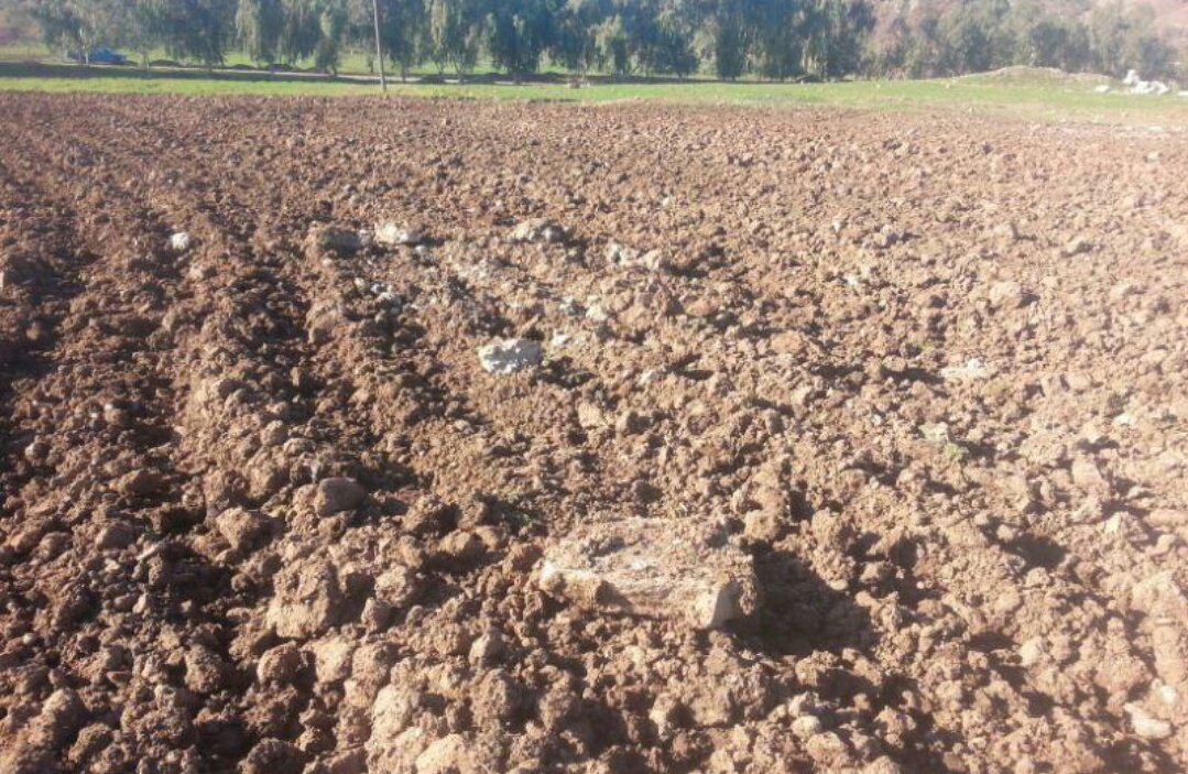 سوشا مکانی سوژه طنز کاربران شد +کامنت&zwnj;ها