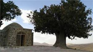 مرمت مقبره تاریخی حسن گاویار دلفان