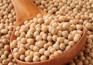 فعالیت 11 مرکز خرید سویا در استان اردبیل