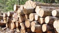 کشف 24 اصله الوار قاچاق در کردکوی