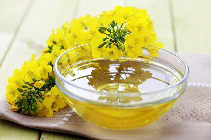 حرکت به سمت خودکفایی در تولید روغن