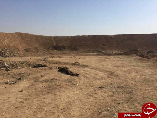 داعش 300 نیروی سابق پلیس را در جنوب موصل به قتل رسانده است
