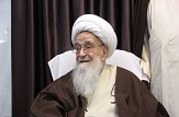 آیت الله صافی گلپایگانی کشتار شیعیان نیجریه را محکوم کرد