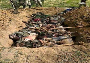آیت الله صافی گلپایگانی کشتار شیعیان نیجریه را محکوم کرد