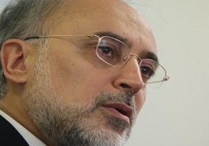 علی‌اکبر صالحی در خانه احزاب ایران سخنرانی می‌کند