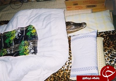 ۳۴ سال زندگی مشترک با حیوانی خطرناک + عکس