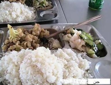 مقایسه غذاهای سلف دانشگاه&zwnj;های مختلف دنیا به روایت تصویر