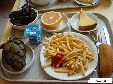 مقایسه غذاهای سلف دانشگاه&zwnj;های مختلف دنیا به روایت تصویر