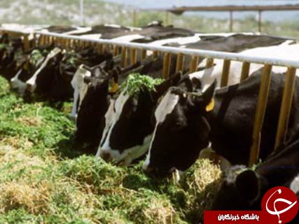 مهمترین حوادث هفته گذشته