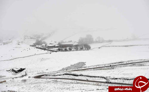 از مترو درمانی در نیویورک تا نمایشگاه لباس&zwnj;های سنتی بلاروس