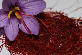 بی ثباتی بازار زعفران به واسطه دلالان