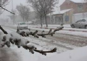 بارش برف همراه با کولاک در جاده های خلخال