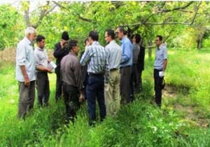 فراگیری مهارت های بهبود بهره وری توسط 459 کشاورز