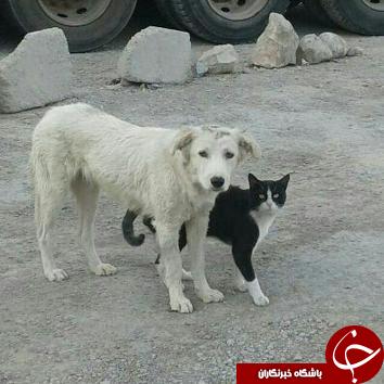 گفتگویی خواندنی با رکوردزن مازنی