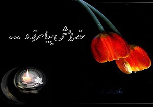 یک سال گذشت ...
