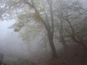 مفقود شدن 15 کوهنورد گلستانی