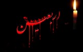 باشگاه خبرنگاران -چند حديث نورانی درباره اربعين حسينی و زيارت كربلا