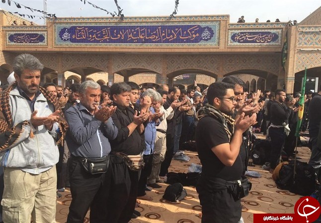 طولانی&zwnj;ترین نماز جماعت جهان از نجف تا کربلا +تصاویر